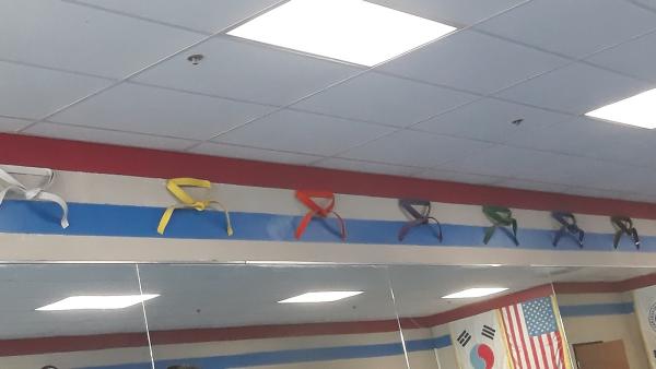 Champion Taekwondo Archibald