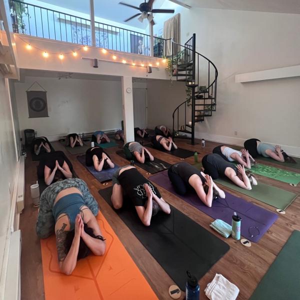 Freebird Yoga Studio