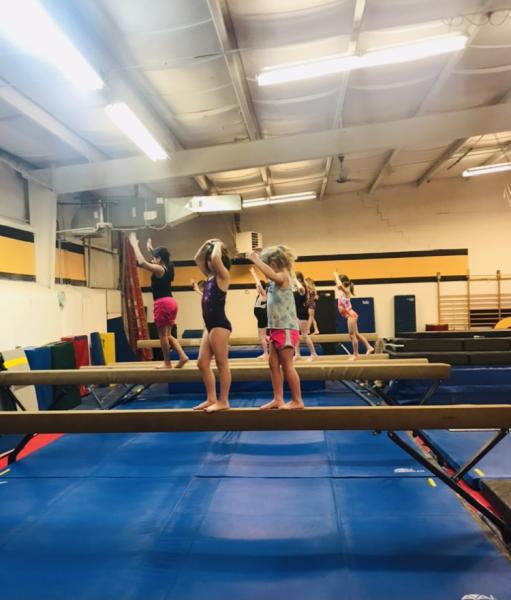 Sokol Gymnastics