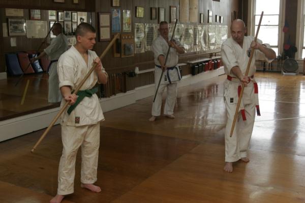 Norton's Isshin-Ryu Karate