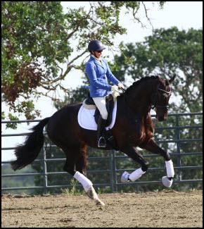 KC Dressage