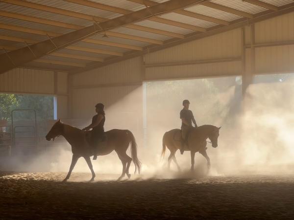 Shiloh Farms Equestrian Training