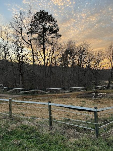 Shiloh Farms Equestrian Training