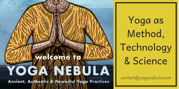 Yoga Nebula Inc
