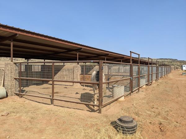 Lava Bluffs Equestrian Center