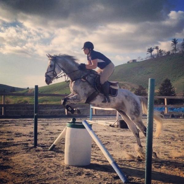 Beare Equestrian Services & Training