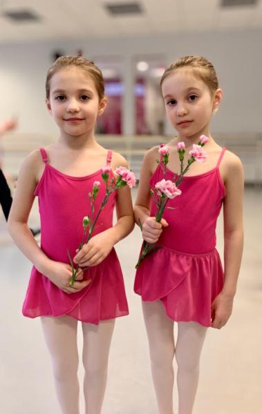 The Brookline Ballet School