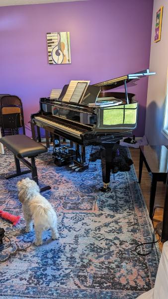 Barford Piano Studio