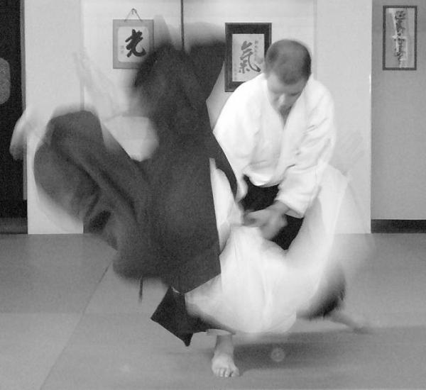 Huron Valley Aikikai