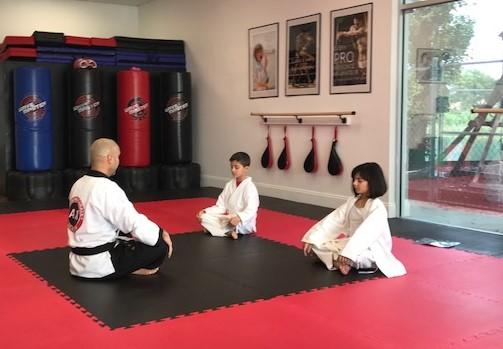 American Karate Academy #1 Mma/Karate School in Miami