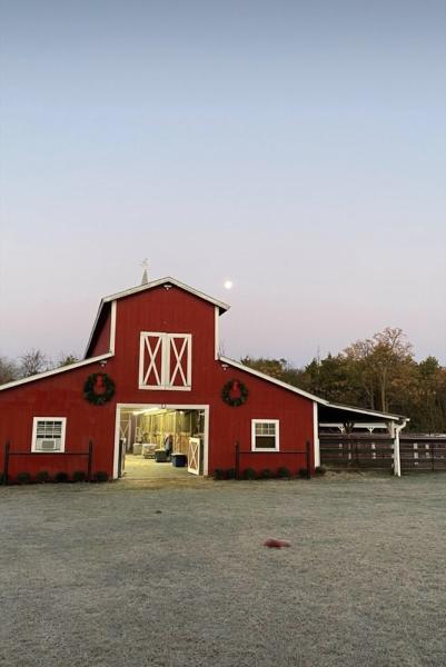 Trinity Forest Stables