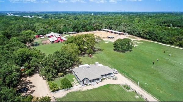 Trinity Forest Stables