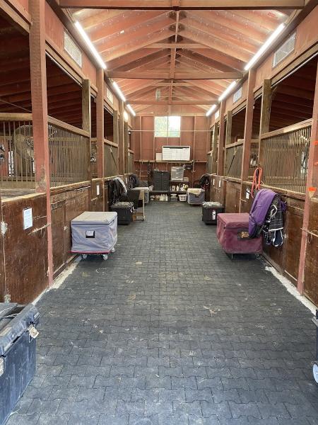 Trinity Forest Stables