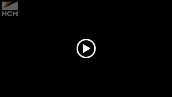 Wonderland Pole and Dance LLC