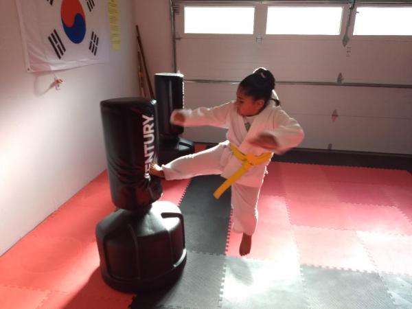 Reason's World Taekwondo Academy