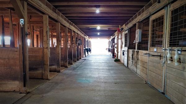 Red Rock Stables