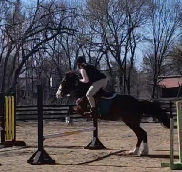 Rohirrim Equestrian
