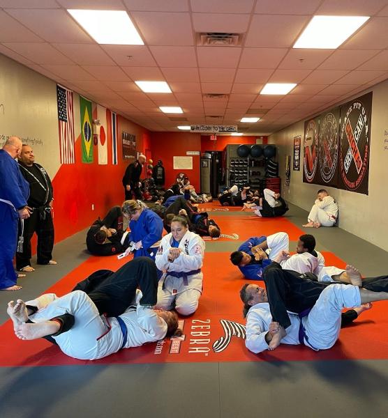 Snake Pit U.s.a. Mixed Martial Arts Academy/Machado Jiu-Jitsu