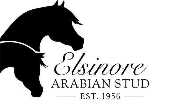 Elsinore Arabian Stud