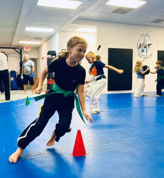 The Mat Martial Arts & Fitness