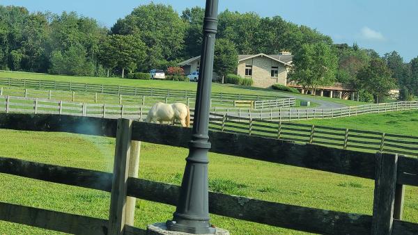 Millhaven Horse Farm Derwood