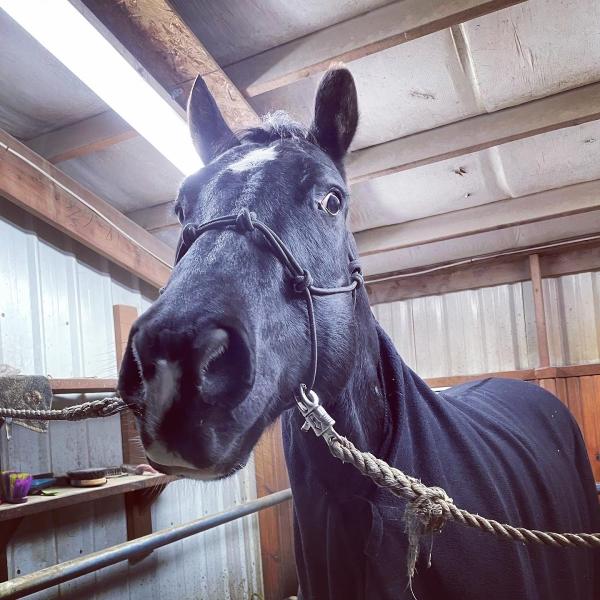 Pleasant Valley Stables & Event Center