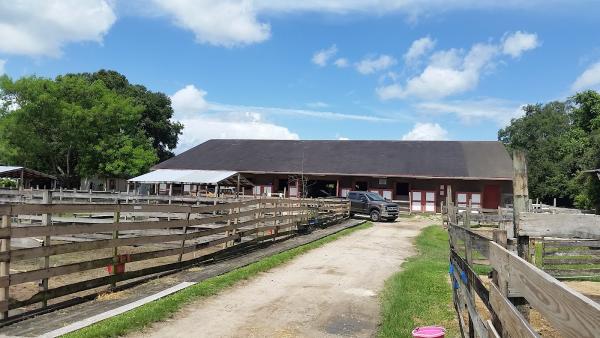 Horse Tales Ranch Where 