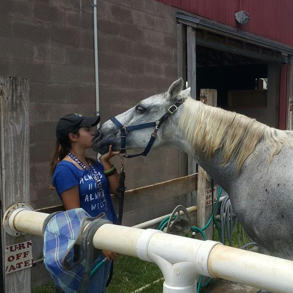 Horse Tales Ranch Where 
