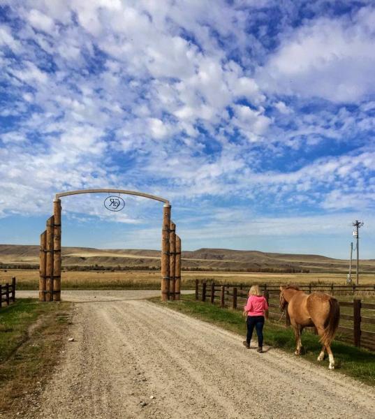 Three Rivers Horse Training