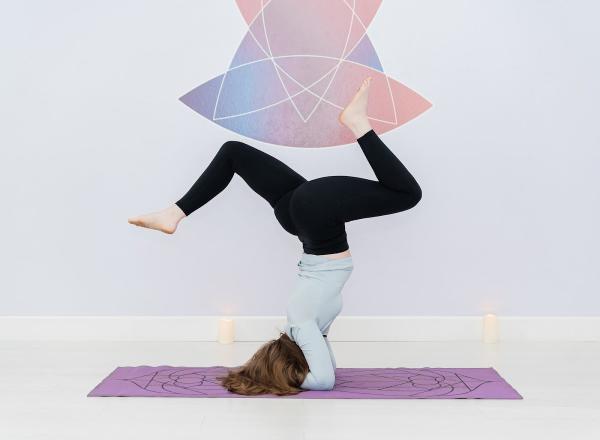 The Studio Mind|body