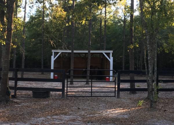 Aiken Horse Layovers