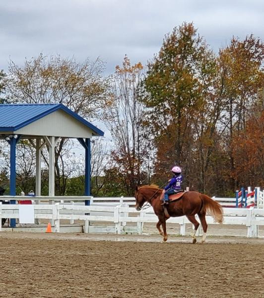 Autumn Rose Farm