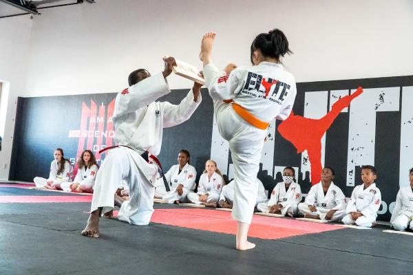 Elite Martial Arts of Brooklyn