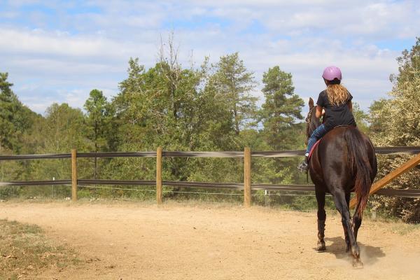 Creekwood Farm and Riding Academy