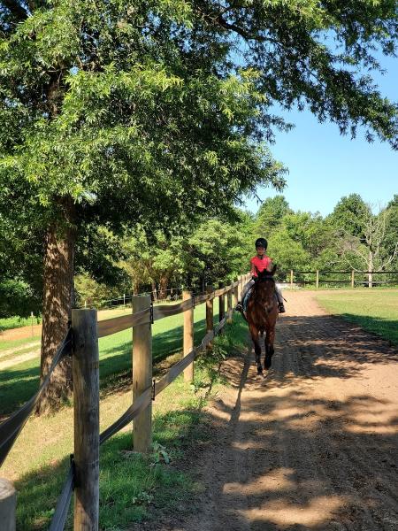 Creekwood Farm and Riding Academy