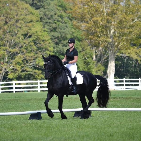 KB Equestrian Riding & Training Academy