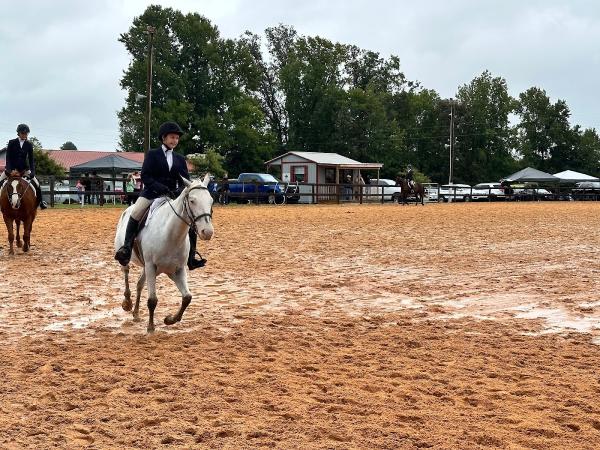 Gypsy's Gait Stables