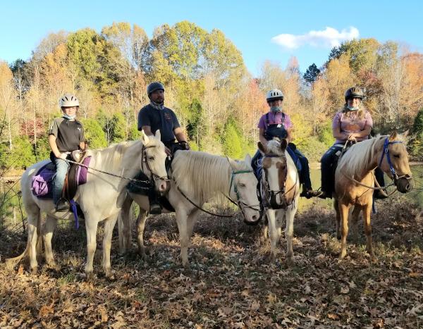 Lake Meadow Farm & Stables