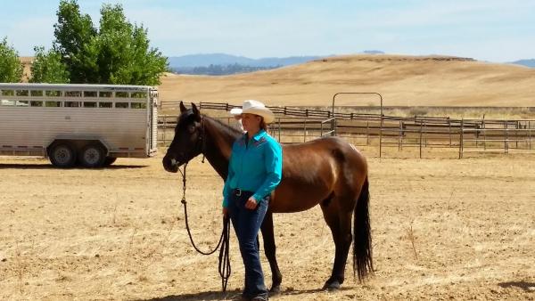 Camelot Equestrian Park