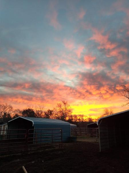 Camelot Equestrian Park