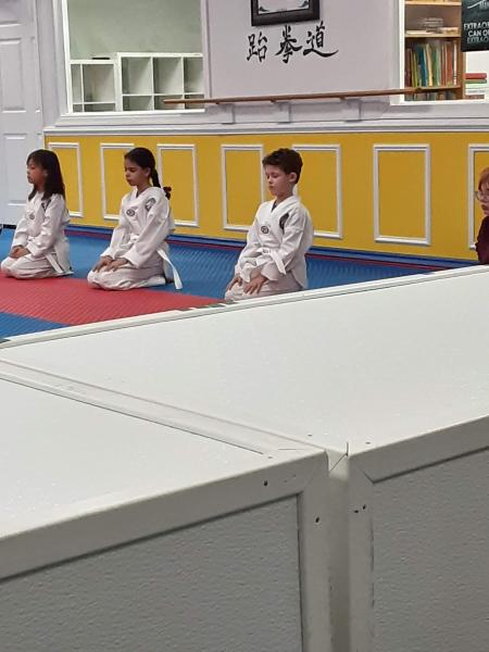Everest World Class Taekwondo & Family Martial Arts
