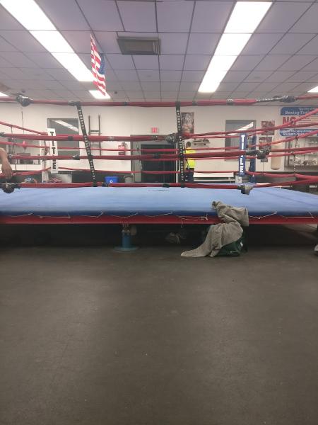 Albany Boxing