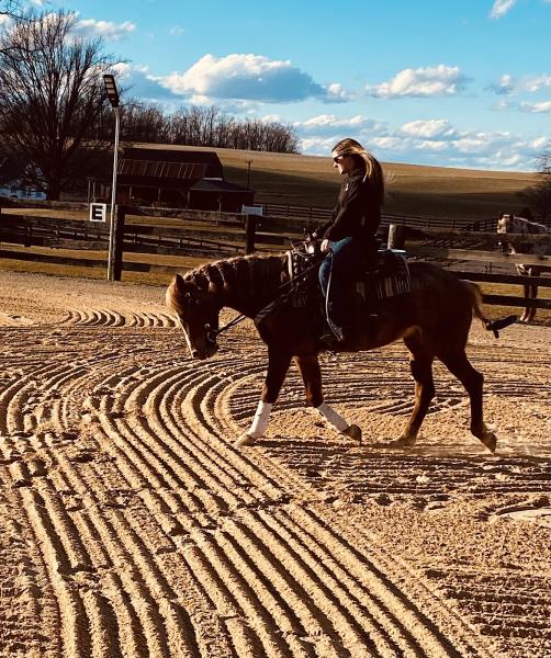 Ashbrooke Ranch LLC