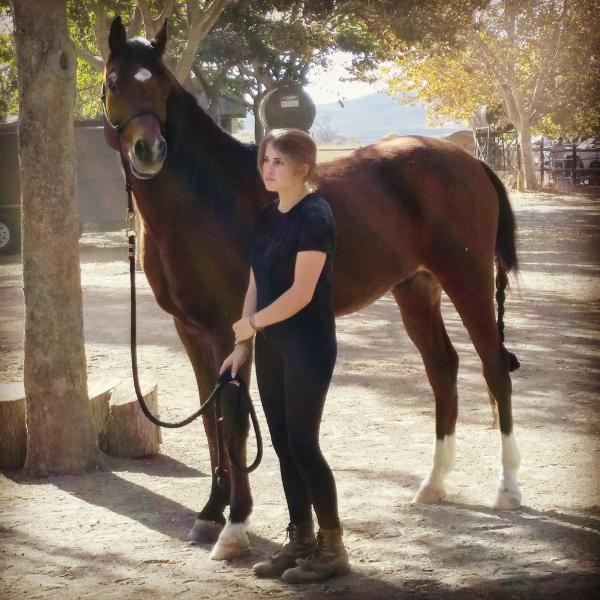 Ranchotel Horse Center