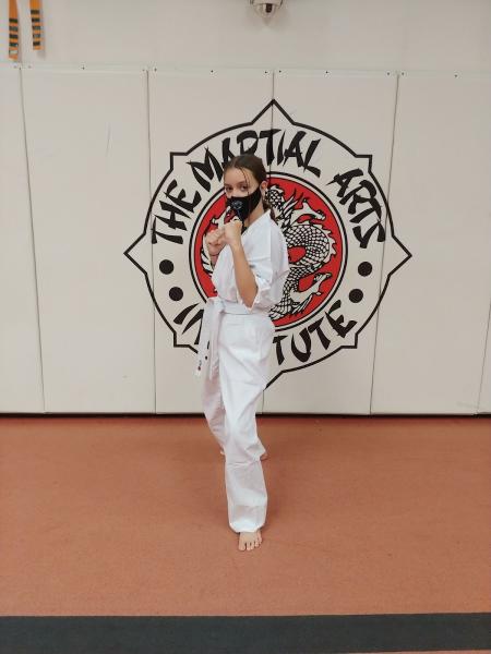 The Martial Arts Institute