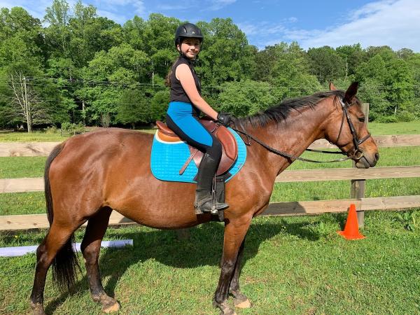 Willow Tree Farm & Riding School LLC