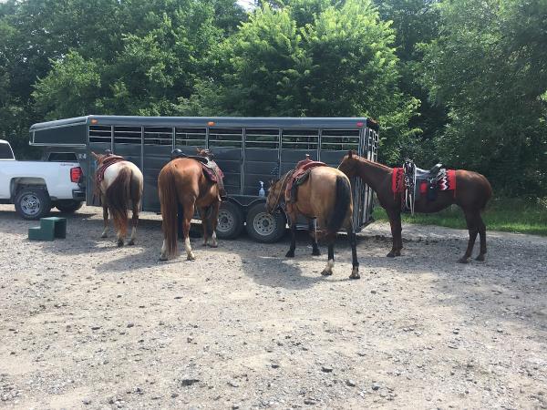 Rezabek Farms LLC Equestrian Center