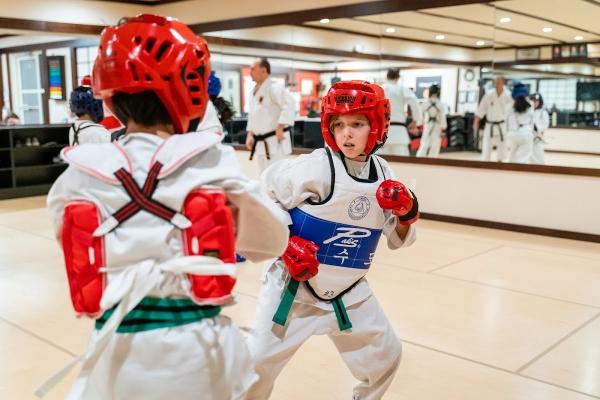 Shobukan Martial Arts Academy