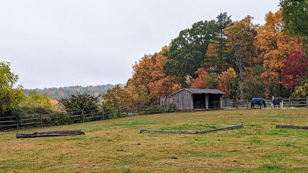 Orchard Hill Equestrian Center