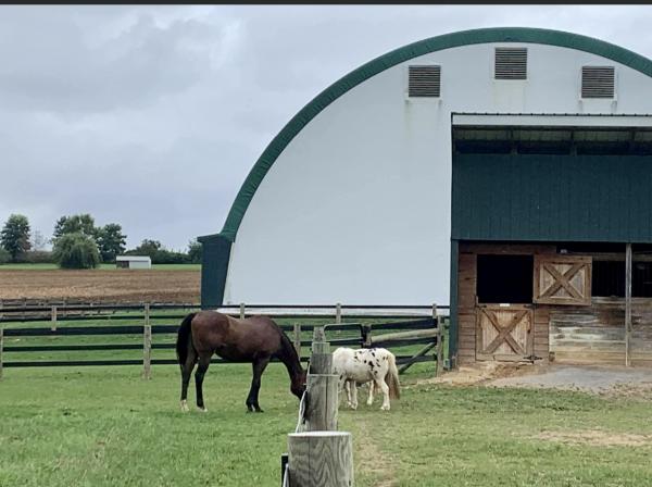Home of Herd of Hope Horse Rescue